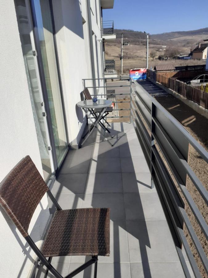 Sara Apartman Livezeni  Extérieur photo