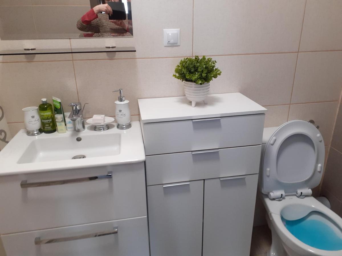 Sara Apartman Livezeni  Extérieur photo